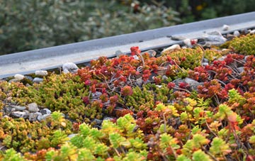 the cost of Dunkeswick green roof installation