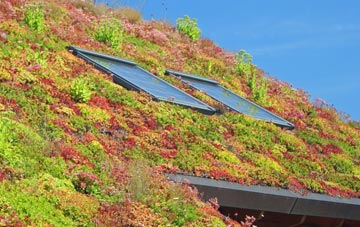 Dunkeswick living roof systems