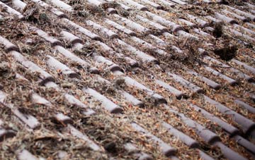 Dunkeswick roof cleaning companies